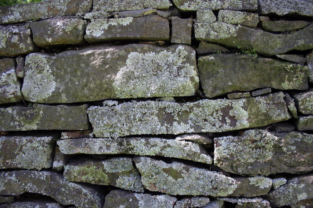 Tex#1 ~ Stone Wall - BG 75