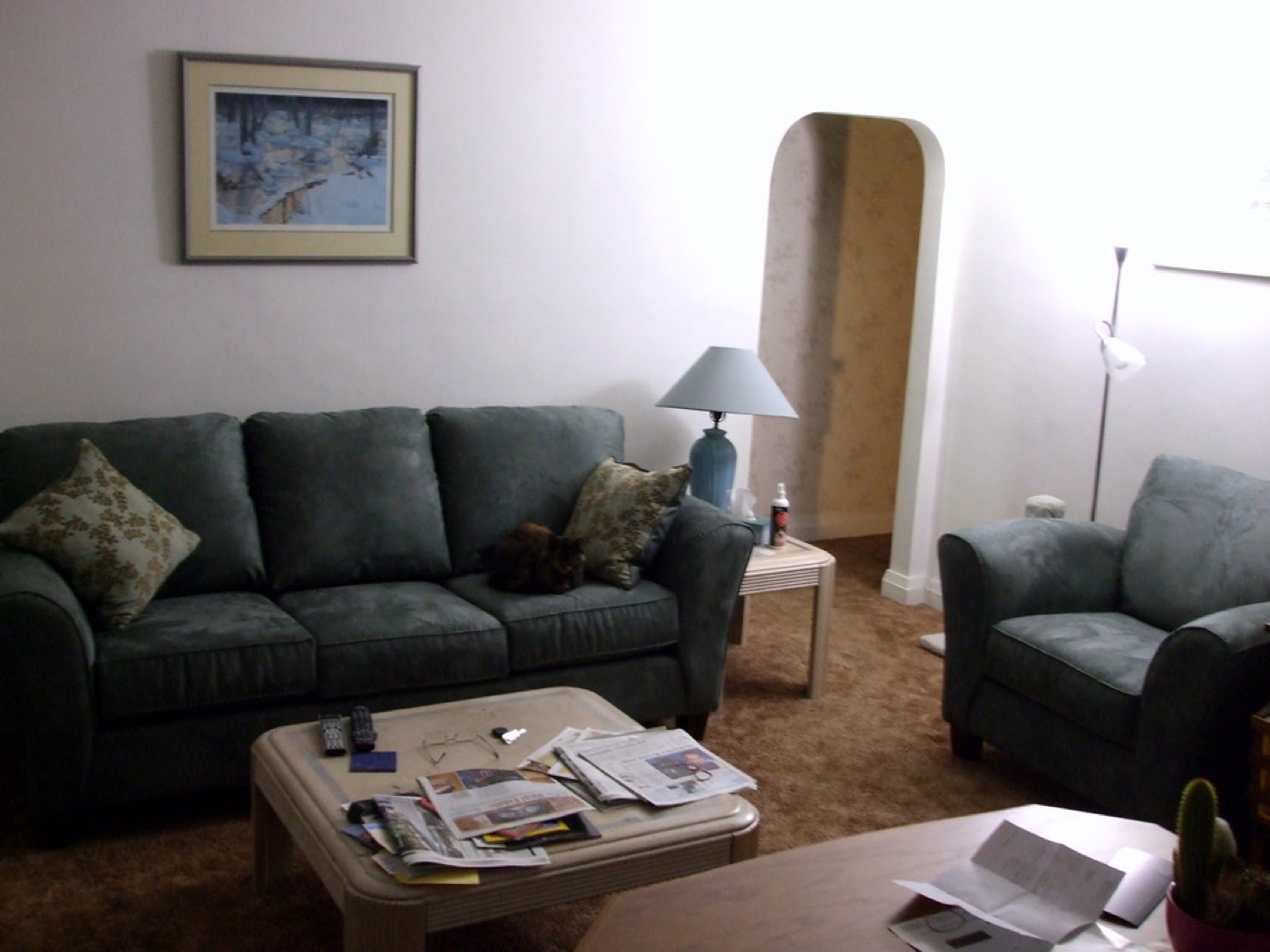 New Furniture for the Living Room